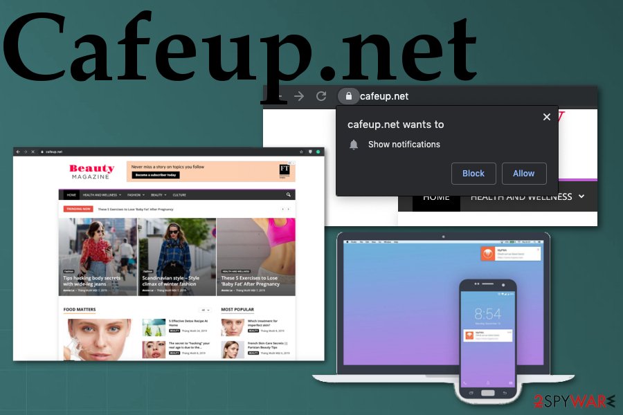 Cafeup.net
