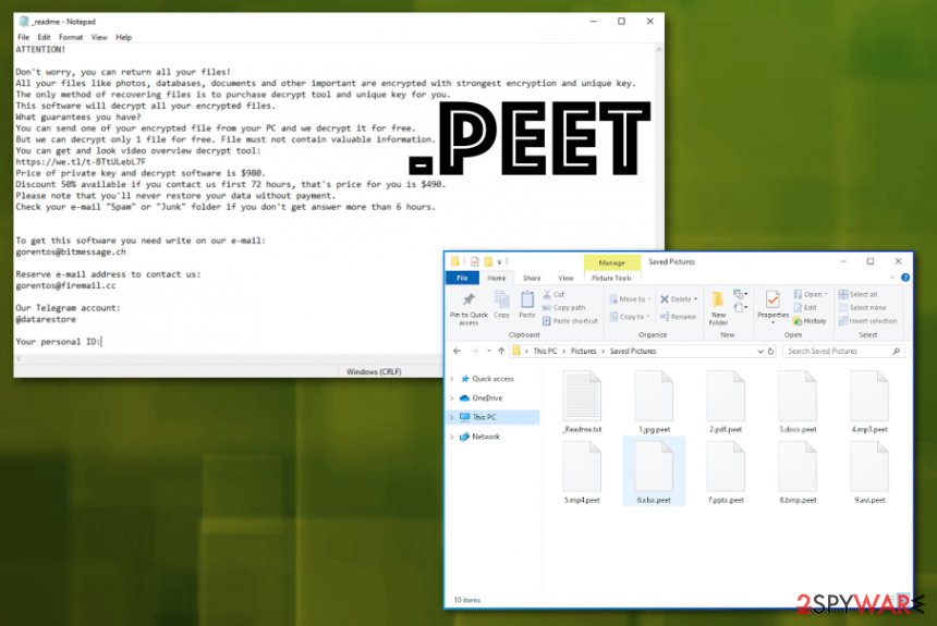 Peet ransomware