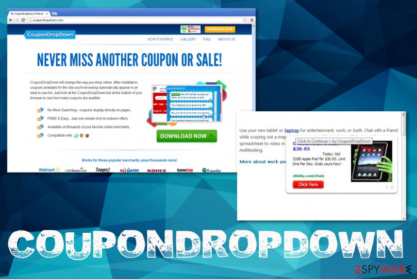 CouponDropDown 