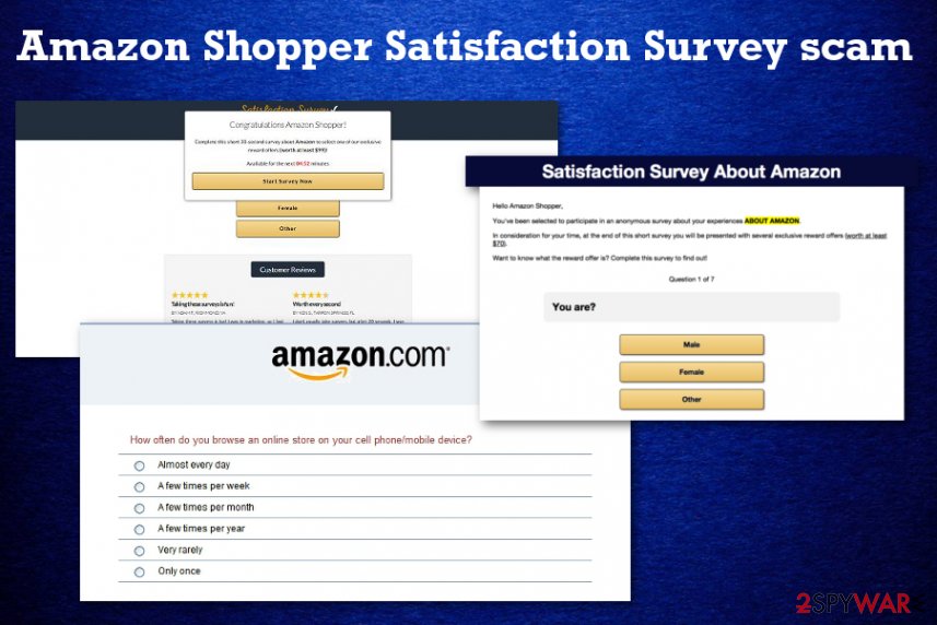 Amazon Shopper Survey