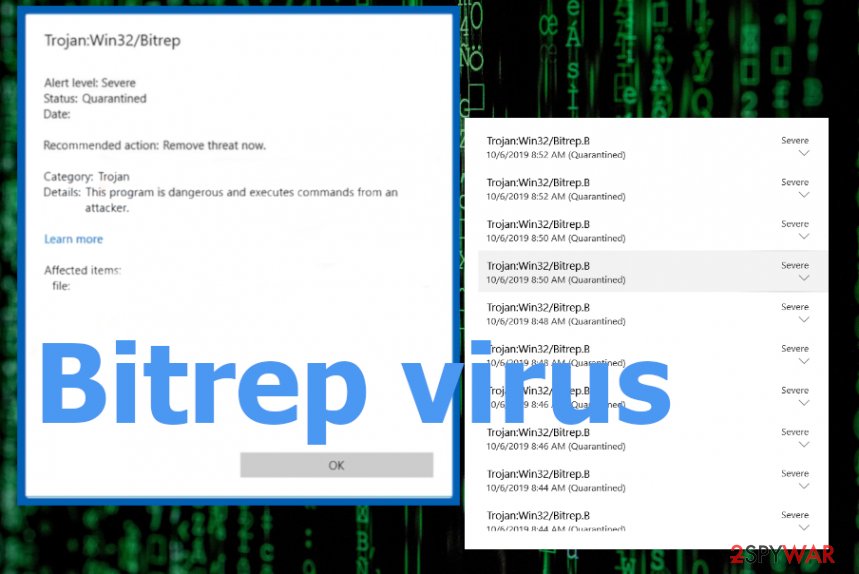 Bitrep virus