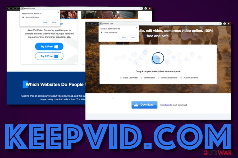 KeepVid.com