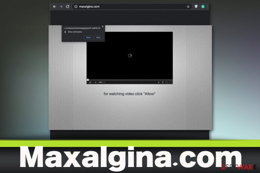 Maxalgina.com
