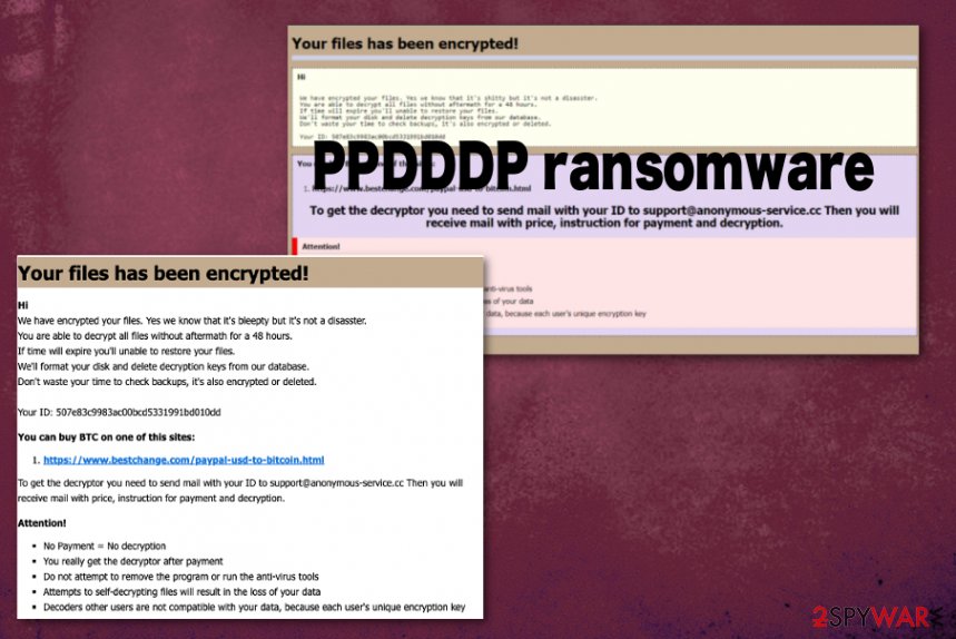 PPDDDP ransomware