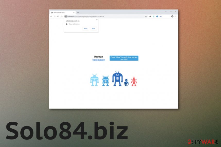Solo84.biz