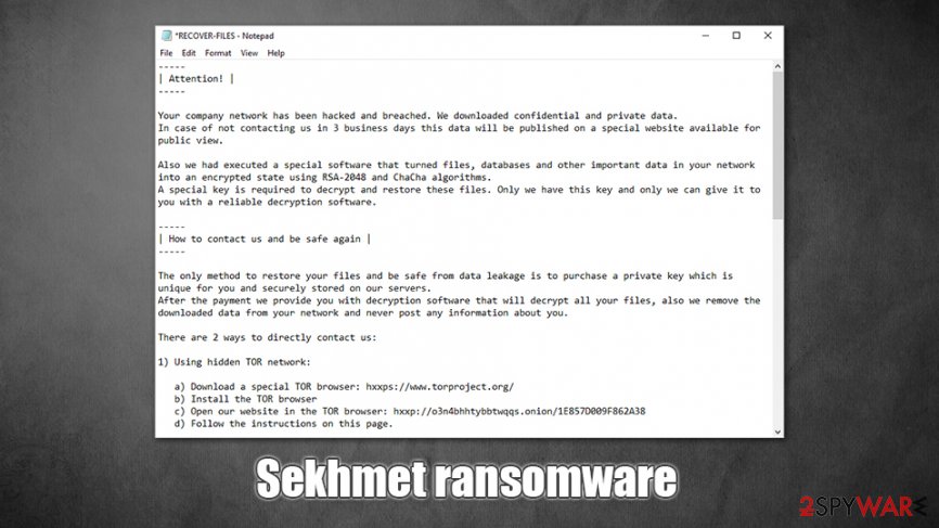 Sekhmet ransomware