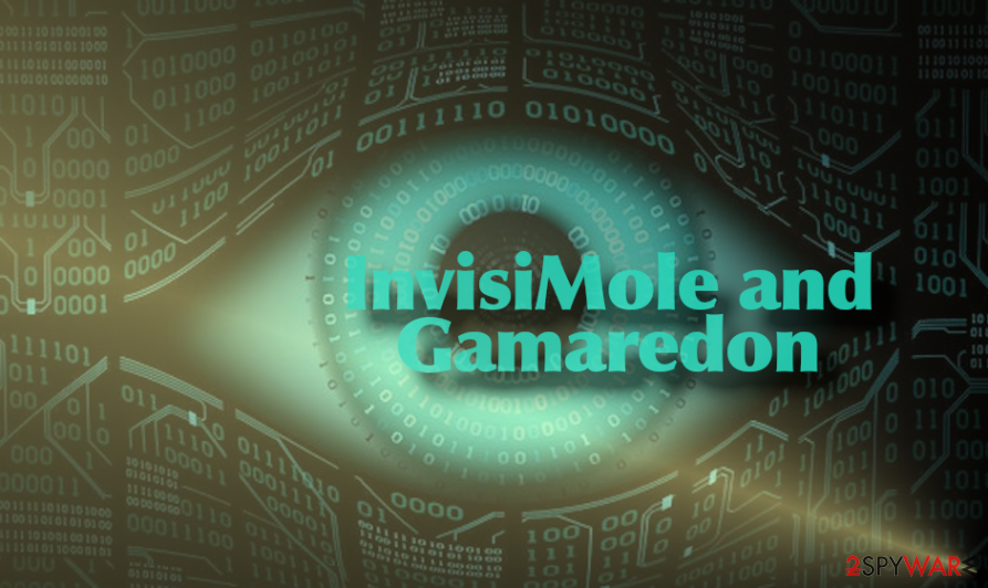 InvisiMole backdoor