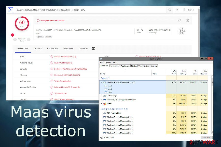 Maas virus detection