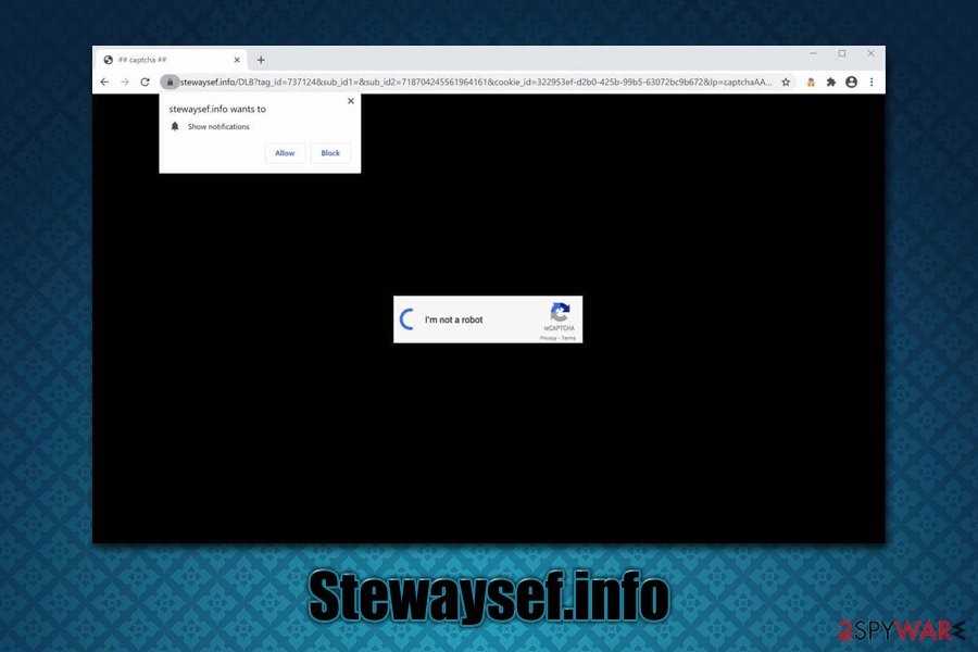 Stewaysef.info